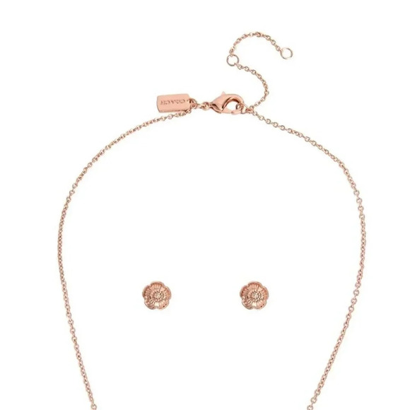 Coach necklace & earrings - Picture 8 of 10